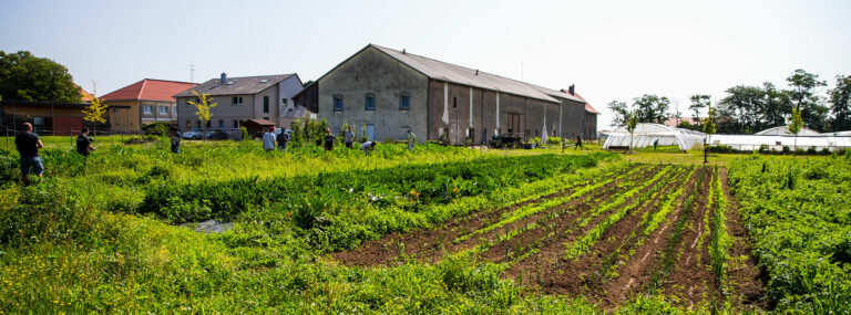 Ferme Saint-André (Cernay)