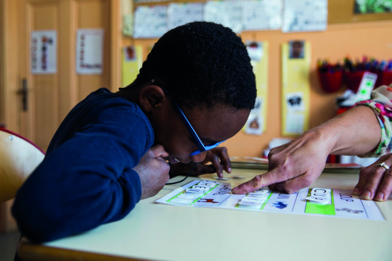 Déficience intellectuelle : les répercussions sur les apprentissages - TSA et autres TND - Adèle de Glaubitz