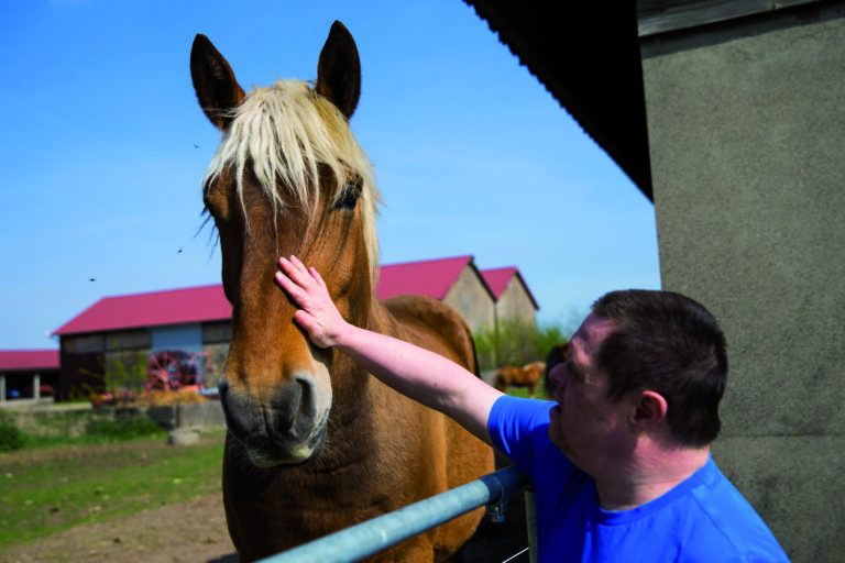 Relation d’aide avec la médiation par le cheval - Approches sensorielles et relationnelles - Adèle de Glaubitz